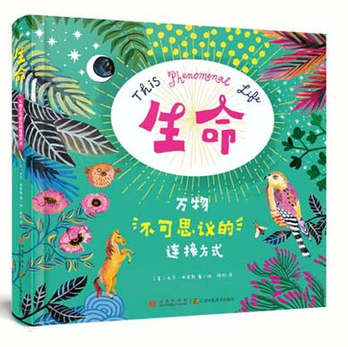 制定篮球交流计划以促进个人技能发展的方法_0